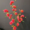 PTMD Kunsttak donkerroze Allium Clearance