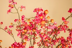 PTMD Kunsttak Euponymous roze en oranje Hot