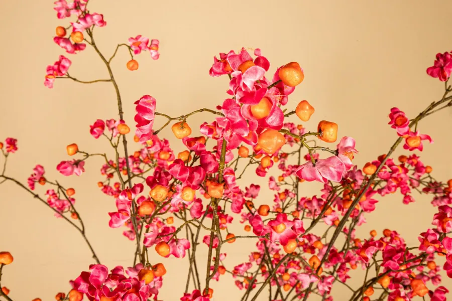 PTMD Kunsttak Euponymous roze en oranje Hot