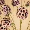 PTMD Kunsttak Garden Flower roze scabiosa Discount
