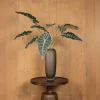 PTMD Kunsttak Groen Alocasia bladeren Outlet
