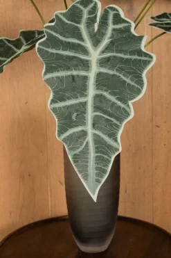 PTMD Kunsttak Groen Alocasia bladeren Outlet