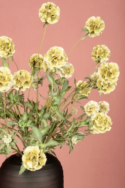 PTMD Kunsttak Groen Scabiosa Outlet