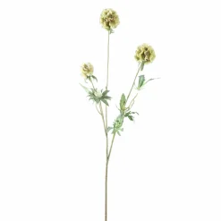 PTMD Kunsttak Groen Scabiosa Outlet