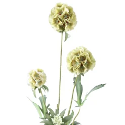 PTMD Kunsttak Groen Scabiosa Outlet