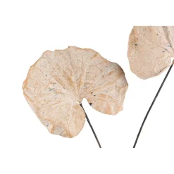 PTMD Kunsttak Leaves Plant Cream monstera leaf spray
