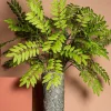 PTMD Kunsttak Leaves Plant green cassia leaves spray
