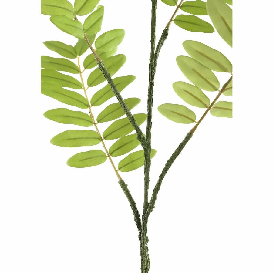 PTMD Kunsttak Leaves Plant green cassia leaves spray