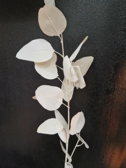 PTMD Kunsttak Leaves Plant eucalyptus creme Discount