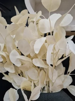 PTMD Kunsttak Leaves Plant eucalyptus creme Discount