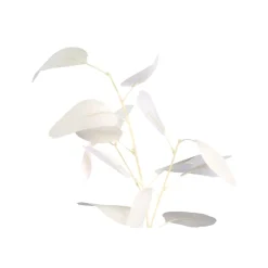 PTMD Kunsttak Leaves Plant eucalyptus creme Discount