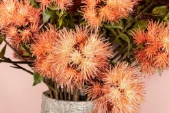 PTMD Kunsttak Pine oranje bruin