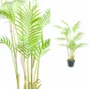 PTMD Palmboom groen in zwarte plastic pot - 148 cm hoog Hot