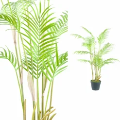 PTMD Palmboom groen in zwarte plastic pot - 148 cm hoog Hot