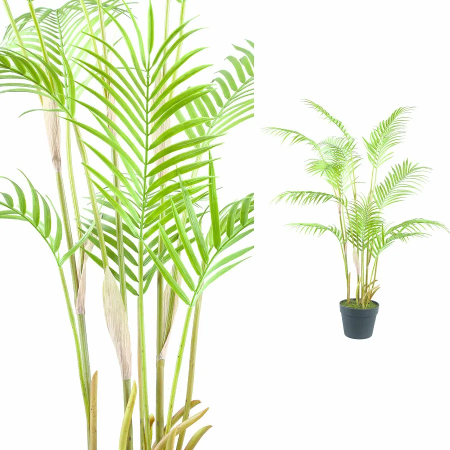 PTMD Palmboom groen in zwarte plastic pot - 148 cm hoog Hot