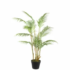 PTMD Palmboom groen in zwarte plastic pot - 148 cm hoog Hot
