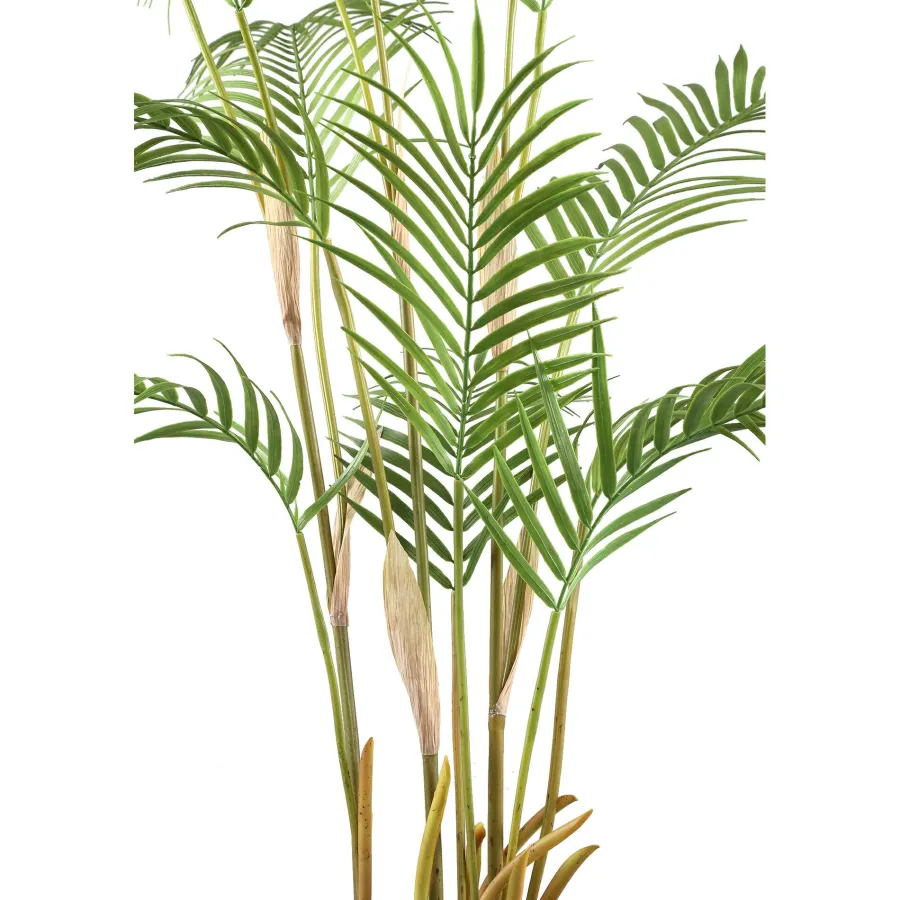 PTMD Palmboom groen in zwarte plastic pot - 148 cm hoog Hot