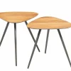 PTMD Salontafel set Rupert Naturel recycled teak Best