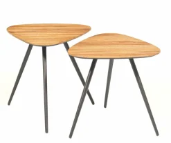 PTMD Salontafel set Rupert Naturel recycled teak Best