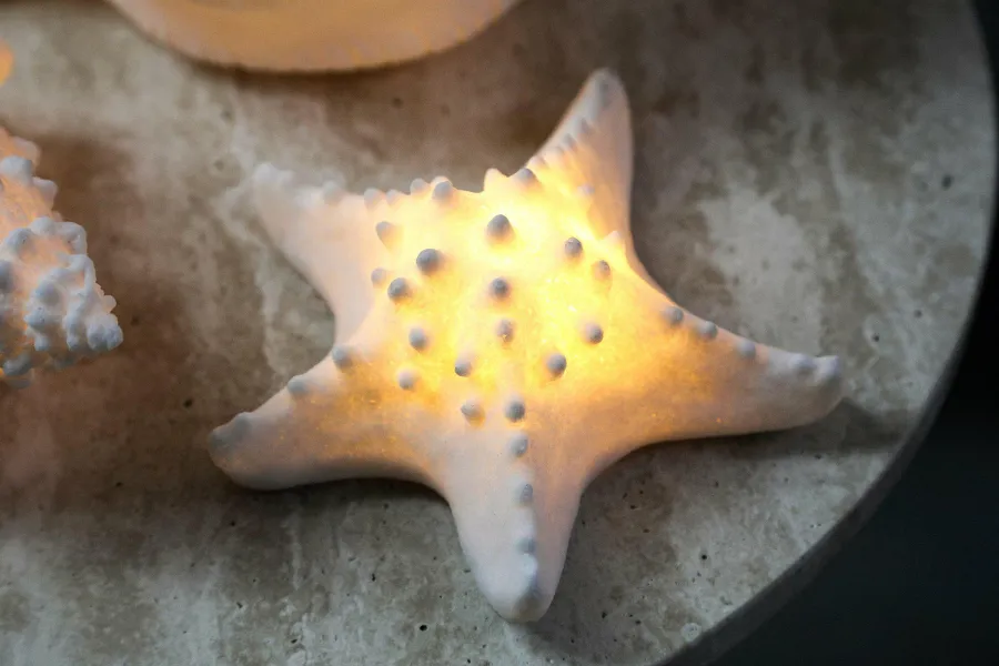 PTMD Tafellamp Graeme Wit Zeester sea star shaped LED lamp S Best