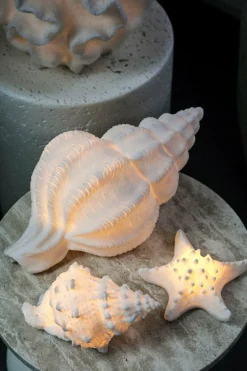 PTMD Tafellamp Graeme Wit Zeester sea star shaped LED lamp S Best