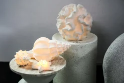 PTMD Tafellamp Graeme Wit Zeester sea star shaped LED lamp S Best