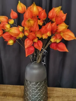 PTMD Vaas Gigi Groen XL Best