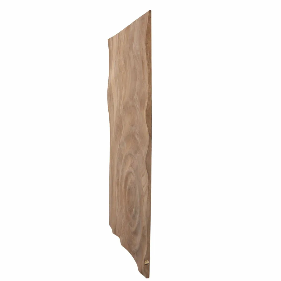 PTMD Wandornament Mattin lichtbruin mangohout rechthoekig met cirkels Best