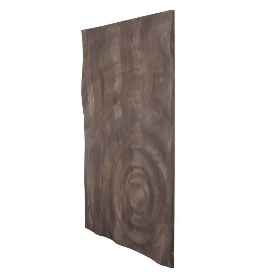 PTMD Wandornament Mattin Bruin mangohout rechthoekig met cirkels Sale