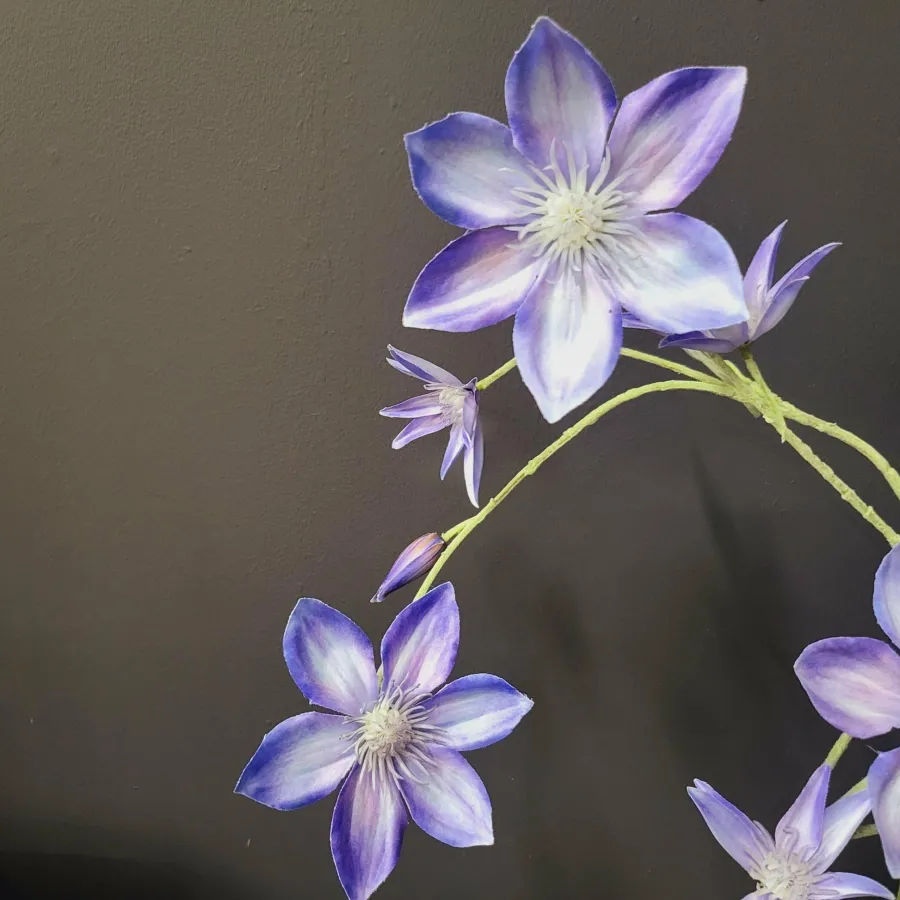 Pure Kunsttak Clematis groot 125 blauw Sale