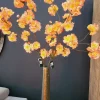 Pure Kunsttak Kanzan Bloesem peach Best