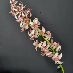 Pure Kunsttak Lelie 105 cm mauve New