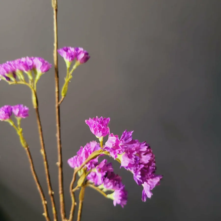 Pure Kunsttak Limonium 70 cm lavendel Clearance