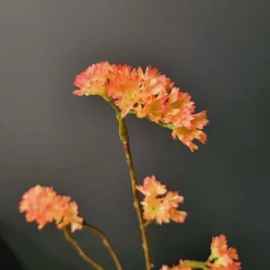 Pure Kunsttak Limonium 70 cm Oranje Sale