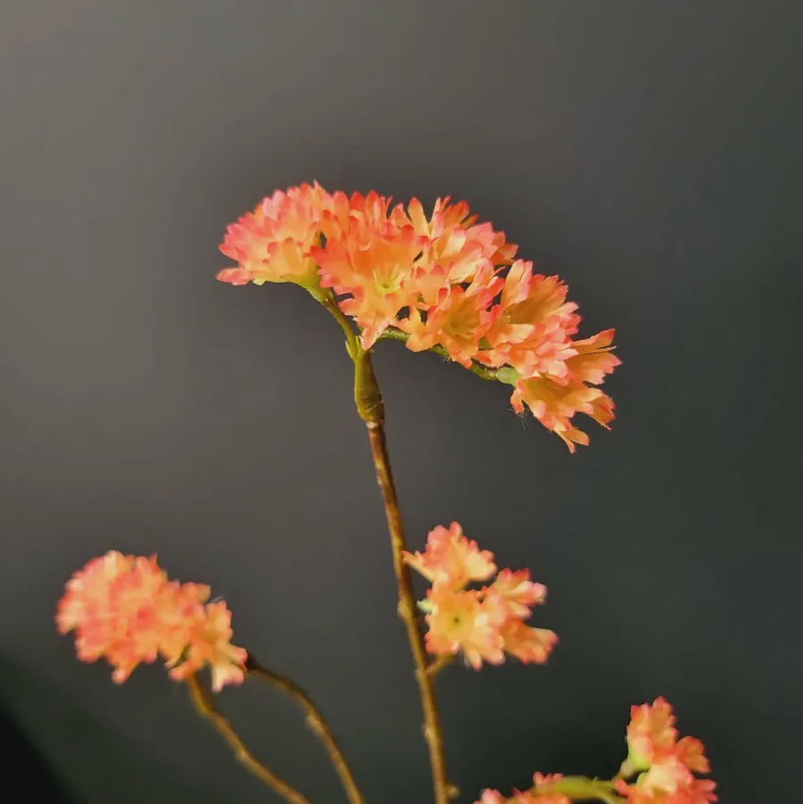 Pure Kunsttak Limonium 70 cm Oranje Sale