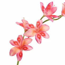 Pure Kunsttak zwaardlelie roze 95 cm Outlet