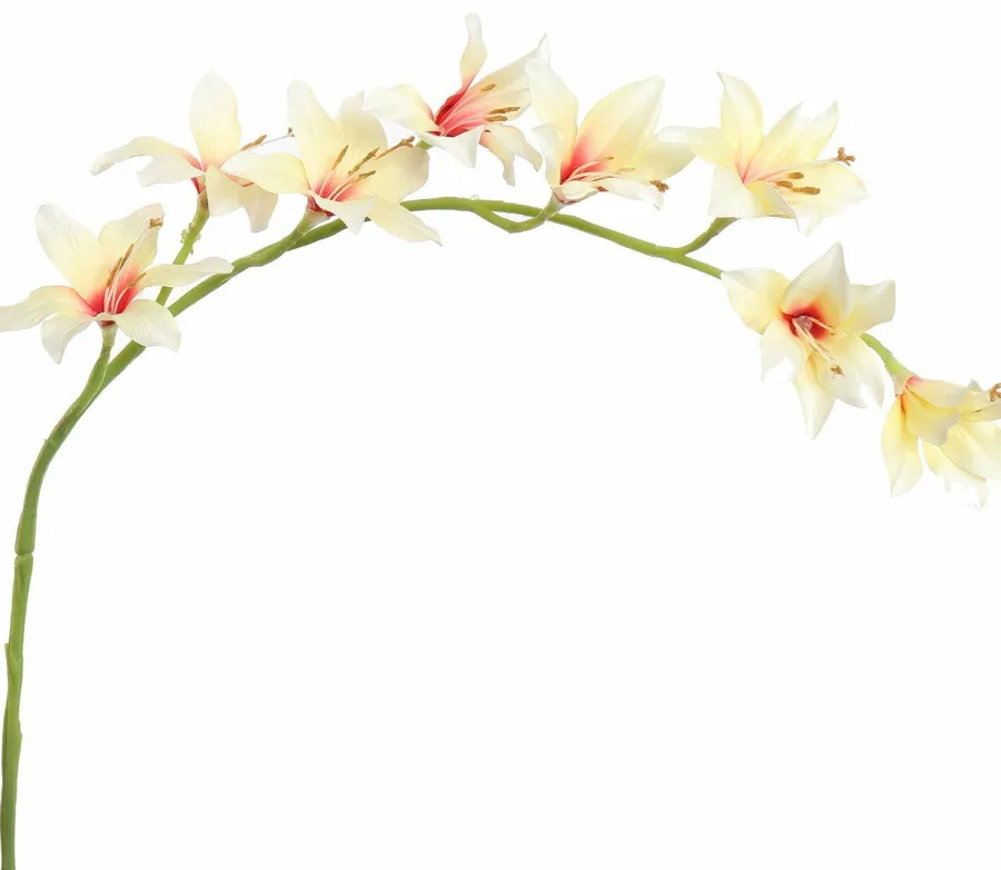 Pure Kunsttak zwaardlelie crème 95 cm Outlet