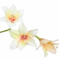 Pure Kunsttak zwaardlelie crème 95 cm Outlet