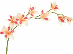 Pure Kunsttak zwaardlelie peach 95 cm Sale
