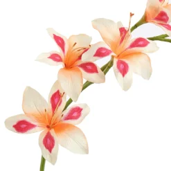 Pure Kunsttak zwaardlelie peach 95 cm Sale