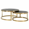Richmond Interiors Showroommodel Salontafel Blackbone gold set van 2 Black rustic New