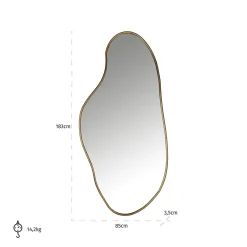 Richmond Interiors Spiegel Alton (Brushed Gold) Outlet
