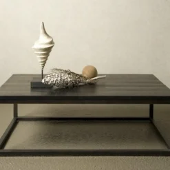 Tower Living Salontafel Paterno Mango zwart rechthoekig Hot