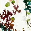 Wandkraft Art Crafts 001 New
