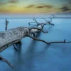 Wandkraft Art of Nature 041 Best