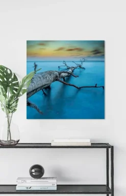 Wandkraft Art of Nature 041 Best