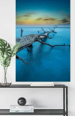 Wandkraft Art of Nature 041 Best