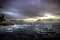 Wandkraft Art of Nature 018