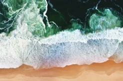Wandkraft Art of Nature 011 Outlet