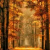 Wandkraft Art of Nature 033 - Limited edition Clearance